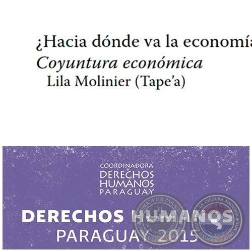 Hacia dnde va la economa  Conyuntura econmica - DERECHOS HUMANOS EN PARAGUAY 2015 - Autora: LILA MOLINIER - Pginas 37 al 54 - Ao 2015